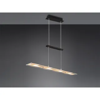 LED-Pendelleuchte - 80 x 170 cm - 4-flammig - Schwarz - Transparent - Glas - Metall - höhenverstellbar - Schwarz