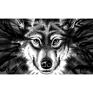 Gift Company Fußmatte der Wolf den Wolf, Kokosnuss, Bunt, 75 x 2 x 45 cm