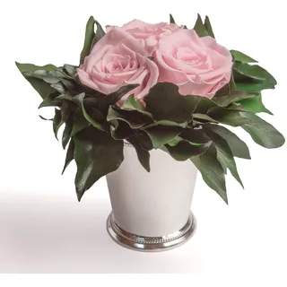 ROSEMARIE SCHULZ Heidelberg Konservierte Blumen in silberfarbenen Becher 3 Infinity Rosen konserviert langhaltende Blume (Rosa, 3 Rosen)