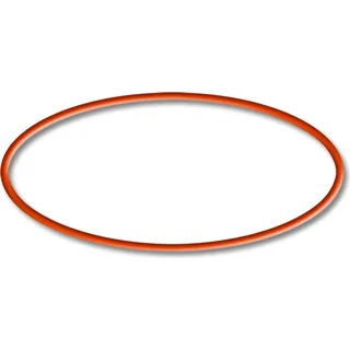 SunSun Ersatzteil für CET-15000 Teichpumpe – O-Ring – für Teich, Gartenpumpe, Skimmer, Bachlauf Zubehör