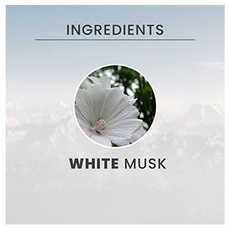 Bild von White Musk Eau de Parfum 100 ml