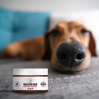 PET Nose & Paw Balm  Nasen- und Pfotenbalsam 75 ml – 100 % natürliche Zusammensetzung (Rabatt für Stammkunden 3%)