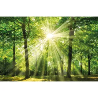 Bönninghoff »Sonnenstrahl« 118x78cm (22020108-0)