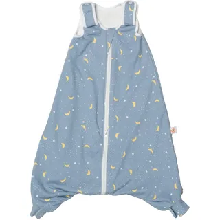 Ergobaby ganzjahres Baby-Schlafsack mit Füßen Gurtschlitz 18-36 Monate Baumwolle Tog 2.5 Winter, On The Move Stellar SLBLGSTELL25