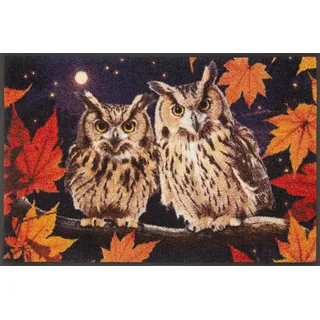 Wash+Dry Night Owls 50 x 75 cm Mehrfarbig