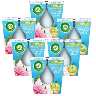 Air Wick Wohlfühl-Duftkerze im Glas – Duft: Cotton Flower Dream – Je bis zu 20 Stunden Brenndauer – Enthält natürliche ätherische Öle – 6 x 105 g Duftkerzenset