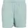 Swim Shorts 5 Inch wonder sage-white AED6 3XL