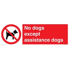 Schild mit Aufschrift "No dogs except aid dogs", 450 x 150 mm, L41