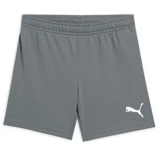 Puma Teamrise Short Unisex Rauchfarben 176