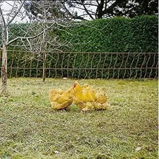 kerbl hobbyfarming Geflügelnetz Doppelspitze, orange