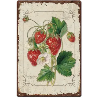 SUPERDANT Erdbeeren Blechschild Erdbeere Blechschilder Retro Früchte Wanddekoration Blechschilder Outdoor Gartendekoration Metallschilder Für Kaffeebar Schlafzimmer Mädchenzimmer