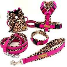 Hundegeschirr & Accessoires Set Crazy Pink Leo - XXS / XXS (HU 22-27 cm) / Aluminium