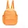 Daypack Bronze