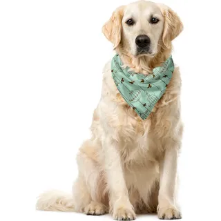 ABAKUHAUS Jahrgang Haustier Bandana, Vögel und Käfige Kunstwerk, 40x40 cm, Mint Grün und Brown - Grün