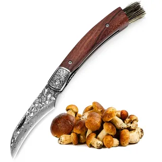 DRACHENADER Pilzmesser mit Bürste/Pinsel (integriert), Schwammerlmesser aus 67 Lagen Vg10 Damaststahl, Handgeschmiedet, §42a konform, Mushroom Knife (Liner Lock), Zwihandmesser für Camping