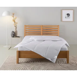 Home Affaire »Moulle, Bettdecke 135x200 cm und 155x220 cm« normal Füllung: 90% Daunen 10% Federn, 1 Stk. tlg. Bettdecken, Sommer oder Winter, Decke, Made in Germany, atmungsaktiv
