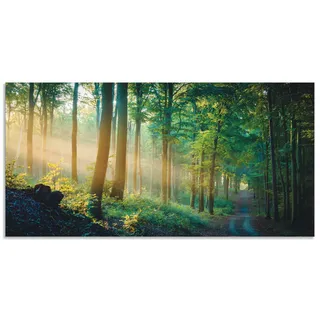 Artland Wandbild »Herbstmorgen im Wald«, Waldbilder, (1 St.), als Alubild, Outdoorbild, Leinwandbild, Poster in verschied. Größen Artland grün