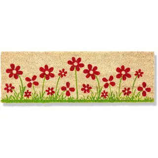 Astra Fußmatte innen beige Schmutzfänger rutschfest – Kokosmatte antibakteriell strapazierfähig - Türmatte 25x75 cm – Schmutzfangmatte 100% Kokos