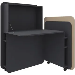 FM Helmets fm FLATup Sekretär graphit/ sandfarben rechteckig, schwarz 107,0 x 41,5 - 91,0 cm