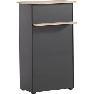 Schildmeyer Stehpult Empfangstresen 65,8 x 44 x 110,5 cm Eiche Artisan/Schwarz