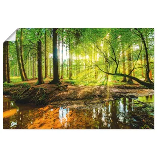 ARTland »Wald mit Bach« Wald 1 Stk. tlg. als Alubild, Outdoorbild, Leinwandbild, Poster, Wandaufkleber,
