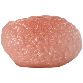 Byon Studio Vase Corallo L – Handgefertigte Glasvase Pink, Ovales, organisches Design, Mundgeblasen, 15 x 45 x 28 cm, 5280607507