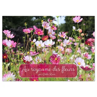 Calvendo Au royaume des fleurs (Calendrier de bureau 2026 DIN A5 horizontal), CALVENDO calendrier mensuel: Des fleurs joyeuses et des prairies fleuries multicolores (CALVENDO Nature)