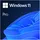 Windows 11 Pro 64-Bit OEM NL
