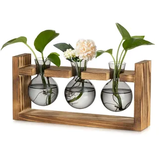 Glasseam Pflanzen Propagation Station für Wohnzimmer: Kleine Vase Glas Mini Terrarium mit Holz Rahmen für Home Büro Regal Tischdeko Fensterbank - Grau Blumenvase Vintage Deko für Plant Hydrokultur