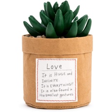 Demdaco Plant Kindness - Love