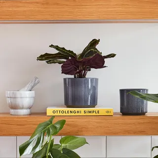 Ivyline Pflanzgefäß, Keramik, Grau, 14 x 14 cm