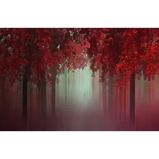 Papermoon Fototapete »Photo-Art ILDIKO NEER, AUS LIEBE WALD Rot rot