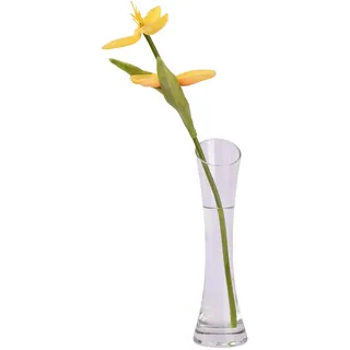 Culinavog Kleine Blumenvase, vase schmal, hoch schmal, Mini-Öffnung Glasvase Transparent für Dekorative Heimdekoration, Wohnzimmer, Büro, Esstisch, Tafelaufsätze, 20cm