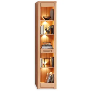 Stella Trading Nature ONE Standregal 43 x 203 x 40 cm Bronze