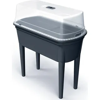 Prosperplast Hochbeet Bloomo 78 x 38 x 26,4 cm Grau