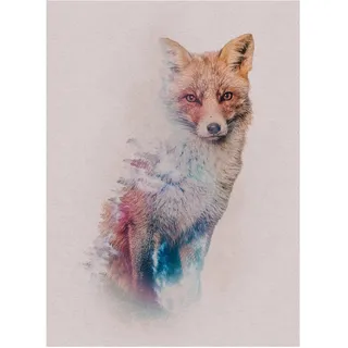 KOMAR Wandbild Animals Fox 30 x 40 cm