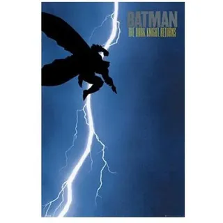 Batman The Dark Knight Returns Maxi Poster, Holz, Mehrfarbig