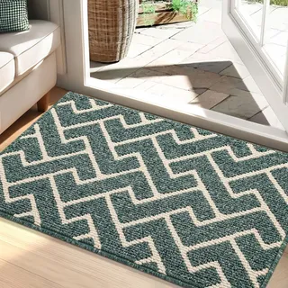 Biscpro Schmutzfangmatte 60x90 Fußmatte Innen, Wasserdicht Schmutzabsorption Matte rutschfest für Außen Eingang, Stufenmatten, Teppich, küchenteppich