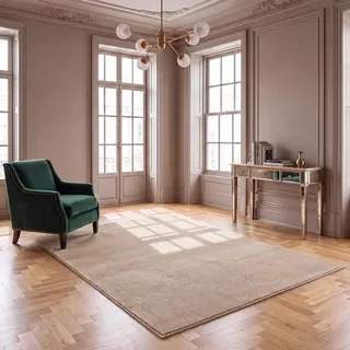 VIMODA Waschbarer Kurzflor Teppich, rutschfest & weich, Einfarbig für Wohnzimmer, Schlafzimmer, Küche & Kinderzimmer,Farbe:Beige;Size:160x220 cm