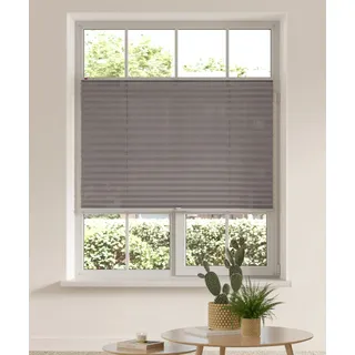 OTTO home Plissee "LAHOLM" Lichtschutz ohne Bohren verspannt Fixmaß, Bestseller mit über 4000-Bewertungen, für Fenster & Tür, anthrazit