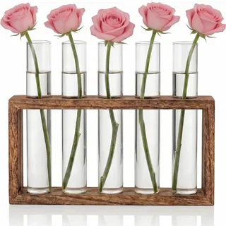 Reagenzglas Vase,Reagenzgläser Für Blumen,Ableger Pflanzen Glas,für Blumen Mit Ständer Holz,für Hydrokultur Pflanzen Tischdeko Hause