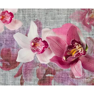 Fototapete FTNxxl1148, Orchideen