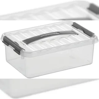 Q-Line Aufbewahrungsbox 30 x 20 x 10 cm 6-tlg. transparent/silber