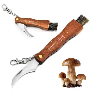 WQNNQW Pilzmesser Mit Bürste,Schwammerlmesser Mit Pinsel,Tragbar Schwammerlmesser,Pilzmesser Mit Bürste Und Skala,Edelstahl Klapp Pilzmesser,Pilzmesser Braun,Geschenke Für Pilzsammler