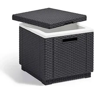 ALLIBERT by KETER Glaciere Ice Cube Graphit 405981