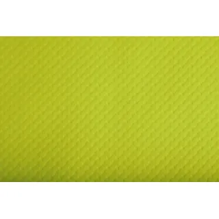 ProNappe PROnappe, 304035I Platzdeckchen Rechteck Grün 4 Stück(e)