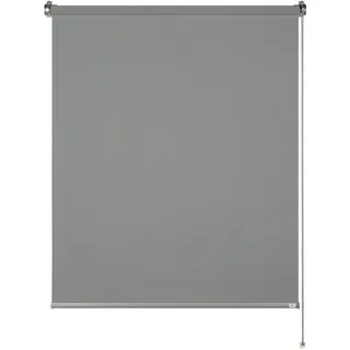 Schöner Wohnen Tageslichtrollo Tizia 75 x 150 cm grau