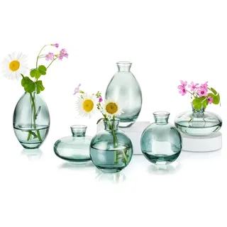 Hewory Keine Vasen für Tischdeko, 6er Mini Vasen Set Grün für Hochzeit | Kleine Vasen Set, Vasen Klein Tischdeko, Bunte Glasvase, Vase Glas Blumenvase für Home Deko Wohnzimmer Party Geschenk