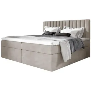 Fun Möbel Boxspringbett Schlafzimmerbett LINNEA 180x200cm Stoff Beige inkl. Bettkasten - Beige