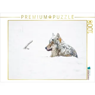 CALVENDO Puzzle Schneebedeckter Wolf liegt im Schnee 1000 Teile Puzzle quer | Lege-Größe cm Foto-Puzzle für glückliche Stunden